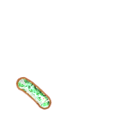256