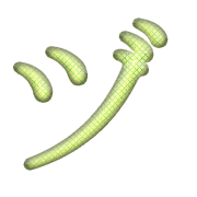 148
