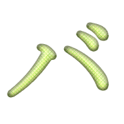 151