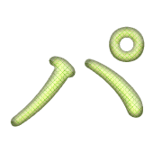 156