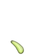 256