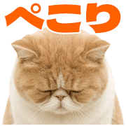013