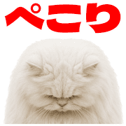 016
