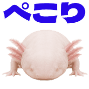 037