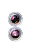244
