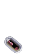 256