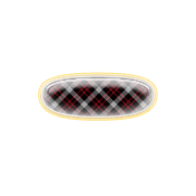 251