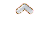 231