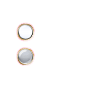 244