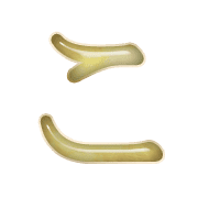 010