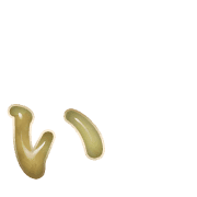 048