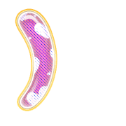 235