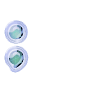 243