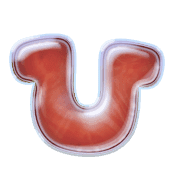 027