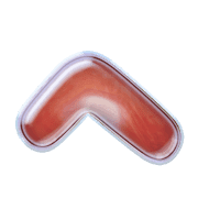 029