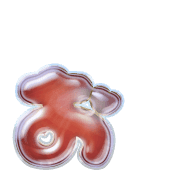 051
