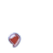 245