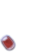 256