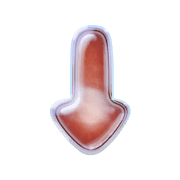 261
