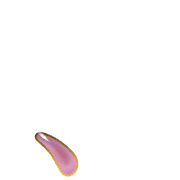 256