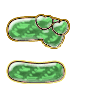 060