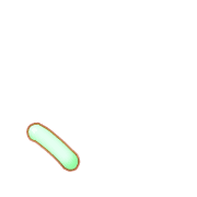 256