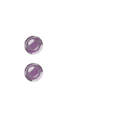 244