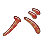 151