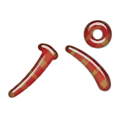 156