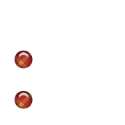 244