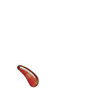 256