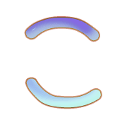010