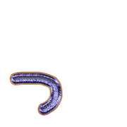 052