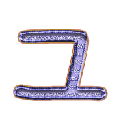 117