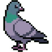 003