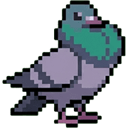 004