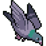 005