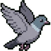 029