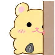019