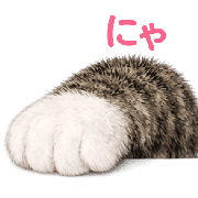 025