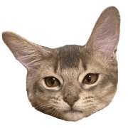 005