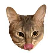 006