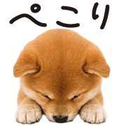004