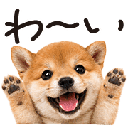 013