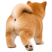 040