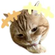 004