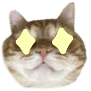 007