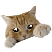 019