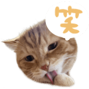 023