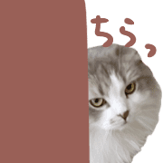027